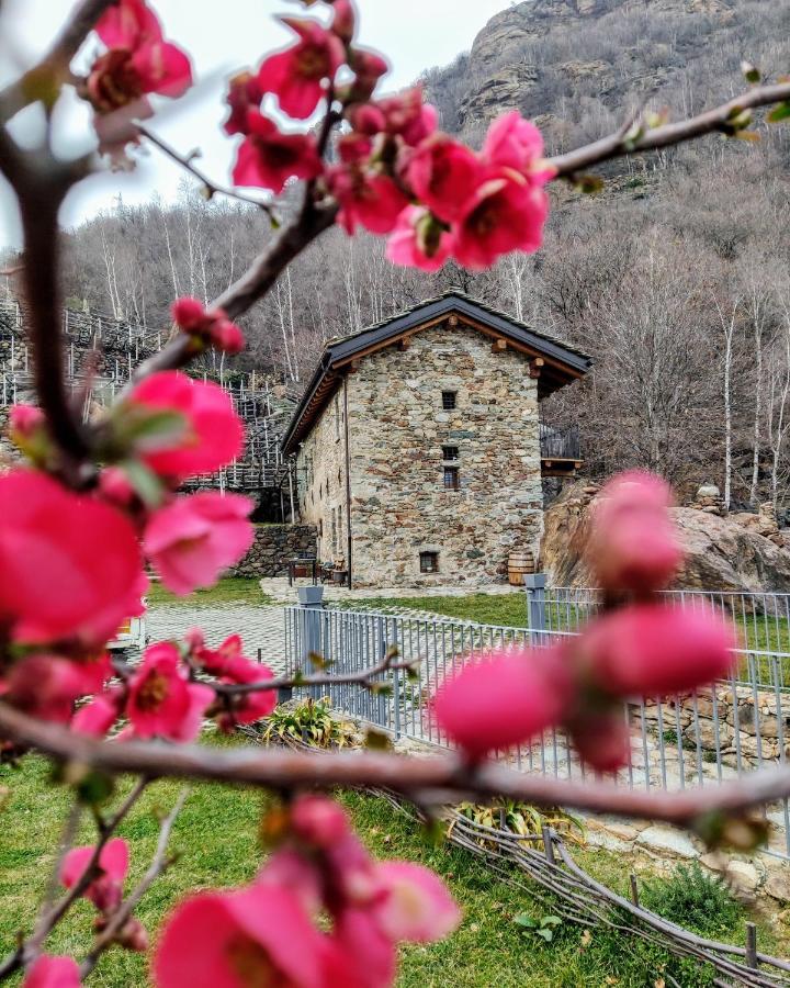 B&B Al Vecchio Torchio Settimo Vittone Exterior foto